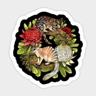 Quoll and Numbat Australian Christmas Wreath Sticker